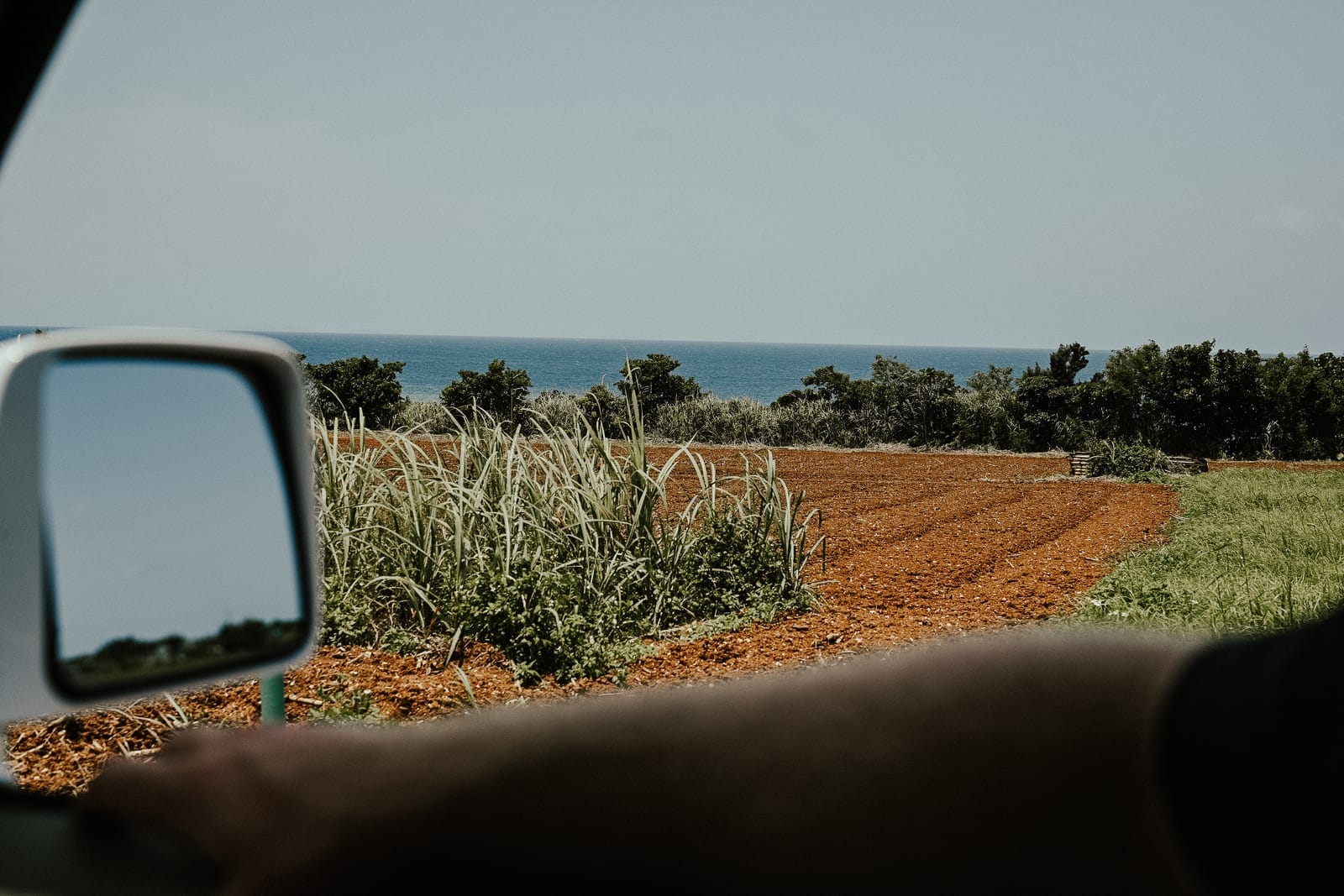 A road through red-soil fields in Okinawa
